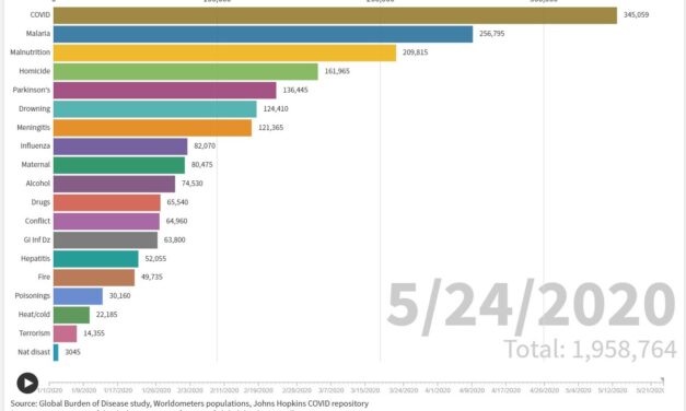 Animation on the Major Causes of Death in the World in 2020