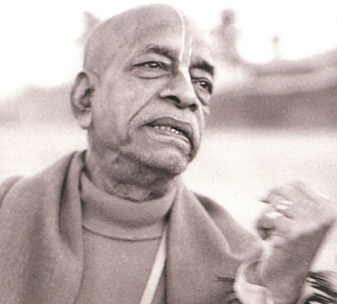 Nectar Drops from Srila Prabhupada